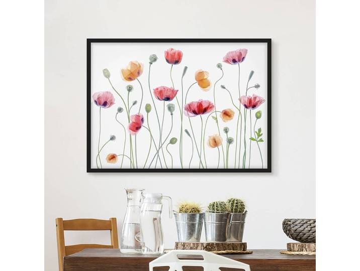 Bild Klatschmohn Party I Papier Rahmen: Echtholz, furniert: Kiefer Weiß 100 x 70cm