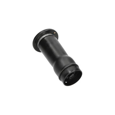KAVO PARTS Luftfeder, Fahrwerk sas10025 Hinterachse für LAND ROVER