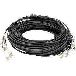 Digitus DK-24338U050BK-BBB Glasfaser LWL Anschlusskabel 50 m Schwarz [8x LC/UPC-Stecker - 8x LC/UPC-Stecker] 50/125 µ Multimode OM4