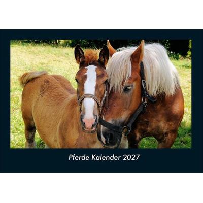 Pferde Kalender 2027 Fotokalender DIN A4