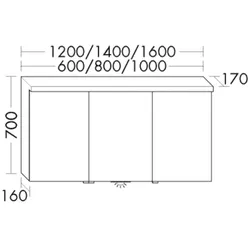 Burgbad Spiegelschrank Lin20 HGL 700x1400x170 Trend-/RAL-Farbe Hochglanz, SPQL140RF5374 SPQL140RF5374