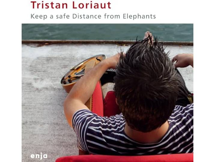 Keep A Safe Distance From Elephants