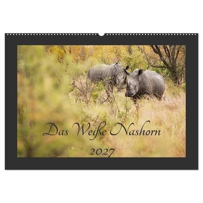 Das Weiße Nashorn (Wandkalender 2027 DIN A2 quer), CALVENDO Monatskalender