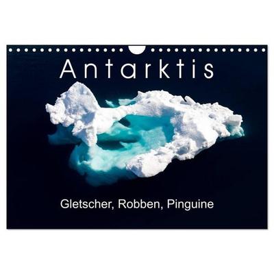 Antarktis Gletscher, Robben, Pinguine (Wandkalender 2026 DIN A4 quer), CALVENDO Monatskalender