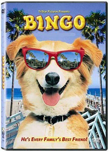 Matthew Robbins - Bingo [FR Import] - Preis vom 08.10.2026 07:26:42 h