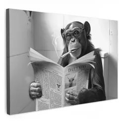 LEINWANDBILD Affe - WC - Zeitung - Schwarz-Weiß - Humor Gemälde 60x40 cm