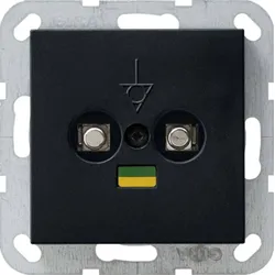 Gira Potentialausgleich-Dose 2-fach Schwarz 0405005