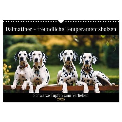 Dalmatiner - freundliche Temperamentsbolzen (Wandkalender 2026 DIN A3 quer), CALVENDO Monatskalender