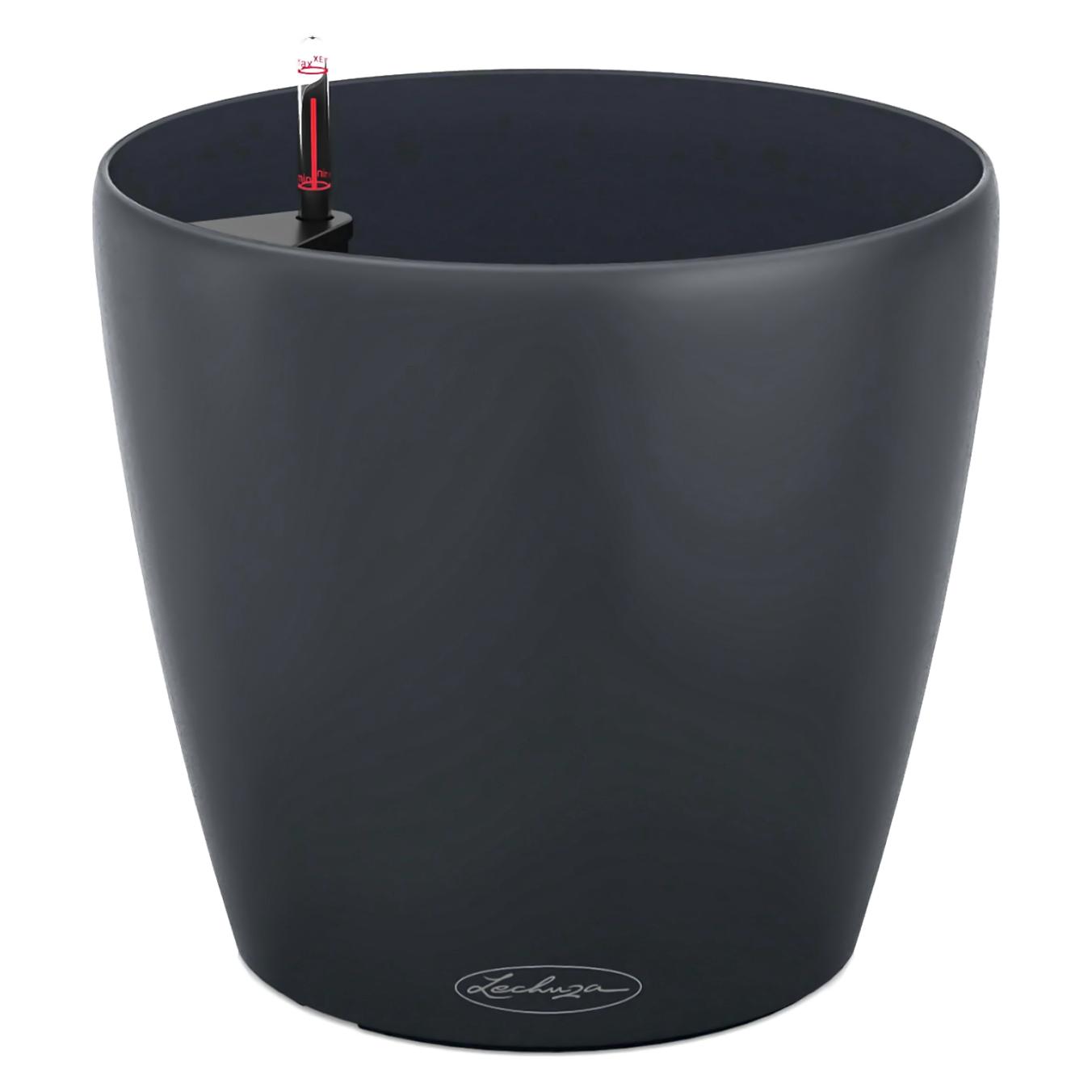 Lechuza Classico Color (27.50 x 26 cm) (13204)