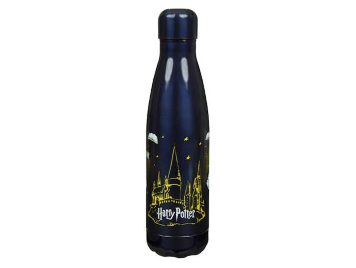 Undercover - Harry Potter - doppelwandige Edelstahl Isolierflasche - Auslaufsicher - für Jugendliche - 500ml - Ideal für unterwegs