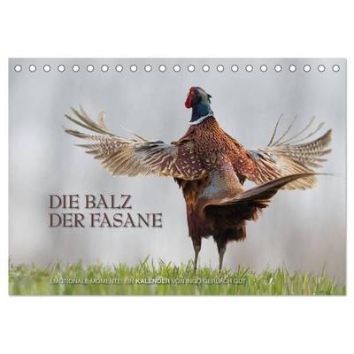 Emotionale Momente: Die Balz der Fasane / CH-Version (Tischkalender 2027 DIN A5 quer), CALVENDO Monatskalender