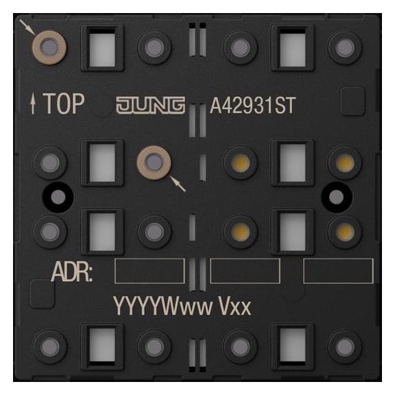 JUNG KNX Tastsensor-Modul (A42931ST)
