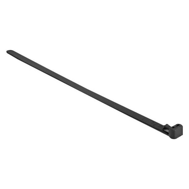 Delock Kabelbinder (Klettkabelbinder, 150 mm, 100 Stk.) (19064)