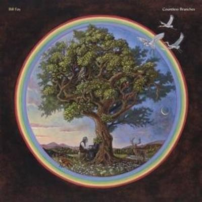 Fay, B: Countless Branches (Deluxe Version) - Bill Fay, CD