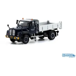 ACE Arwico Collectors Edition Amstein Willisau Saurer D290B 4x4 Kipper 882337