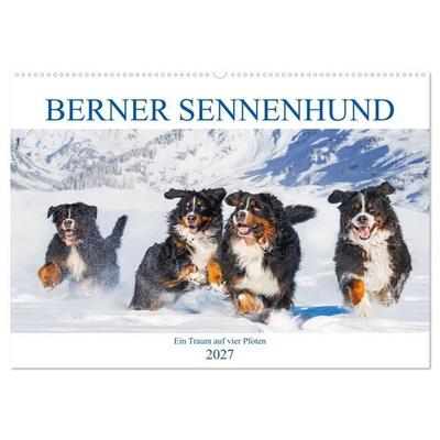 Berner Sennenhund - Ein Traum auf vier Pfoten (Wandkalender 2027 DIN A2 quer), CALVENDO Monatskalender