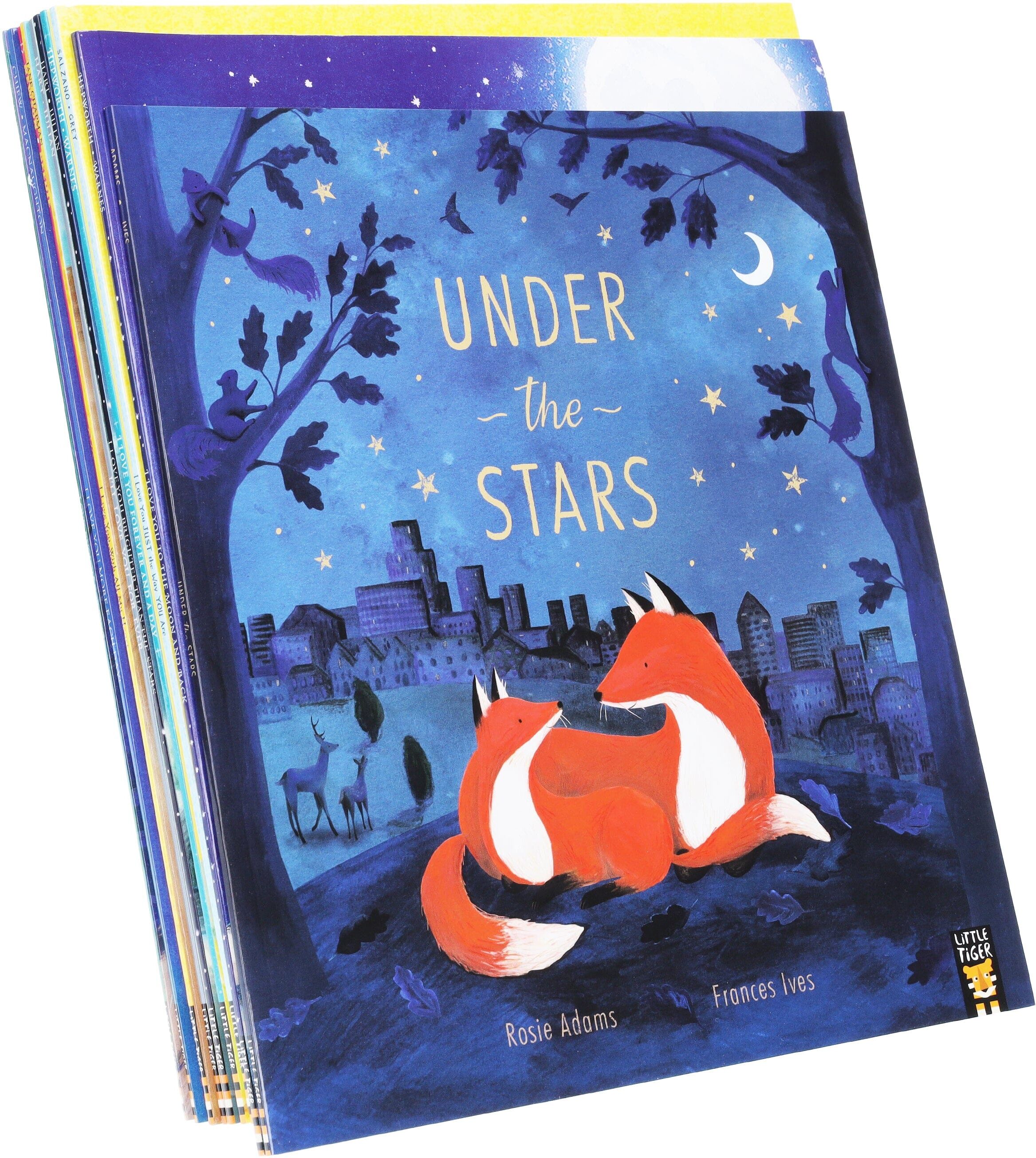 I Love You Series Children's 10 Picture Books Collection Set - Ages 3-6 - Paperback Little Tiger Press Group