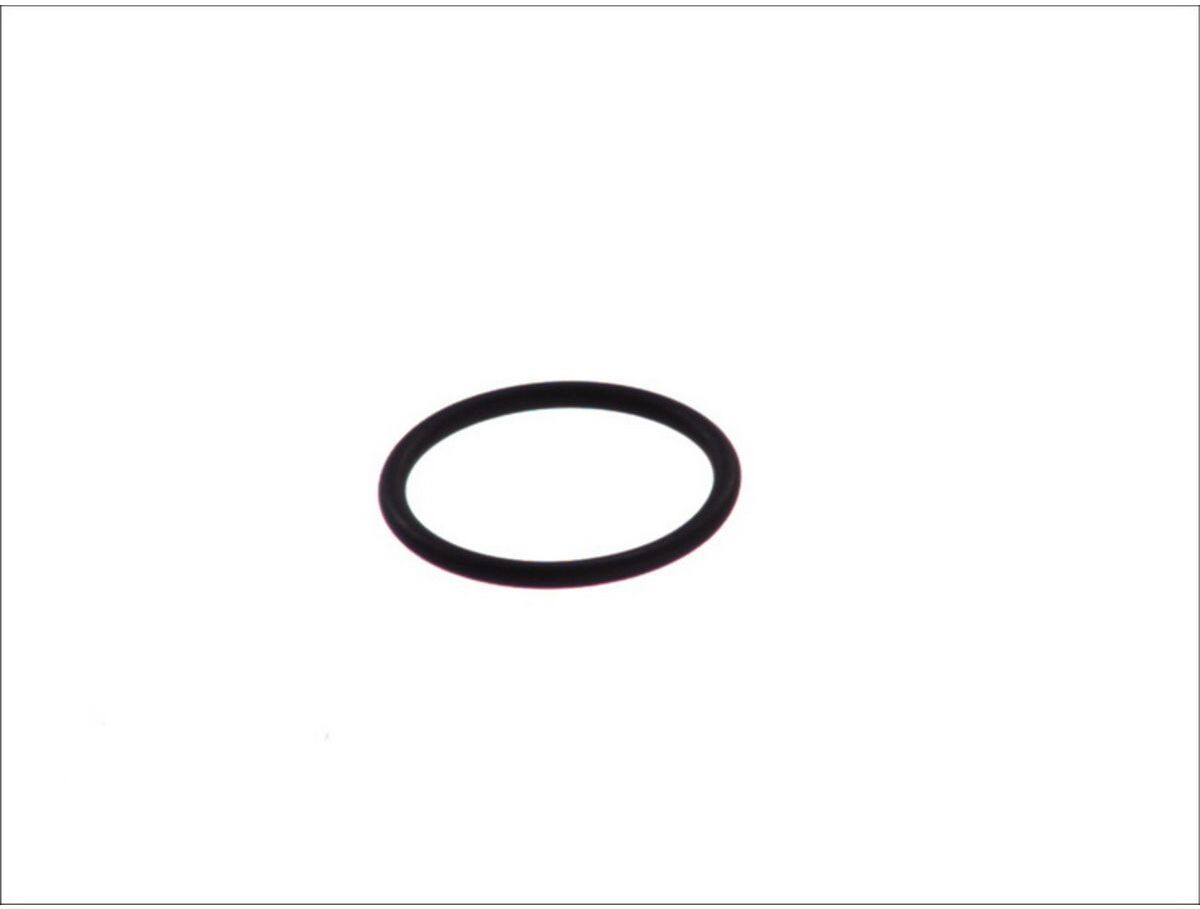 Gummi-O-Rings LEMA LE123115
