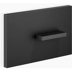 Dornbracht Abdeckplatte für WC-UP-Spülkasten der Firma TeCe, 12660979-33, Farbe: Schwarz Matt