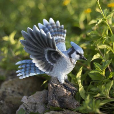 Hi-Line SoReal Blue Jay Wing Out on stump