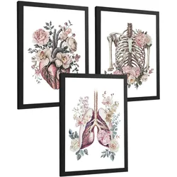 POSTER Set aus 3 Anatomie Florale Drucke und Wandbilder mit Herz Brustkorb und Lungen Detaillierter Illustrationsstil Größe Schwarzer Rahmen A3