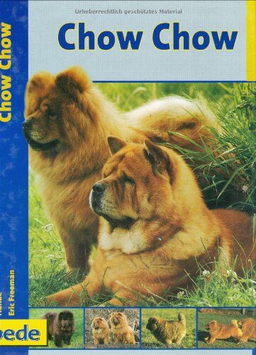 Eric Freeman - Chow Chow, Praxisratgeber - Preis vom 09.10.2026 07:28:09 h