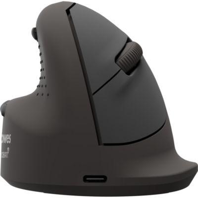 Fellowes Vertikalmaus Bretyta Plus+, Größe L, für Linkshänder, ergonomisch, 3-fache Konnektivität, 400-2400 dpi, mit Microban®-Schutz, schwarz