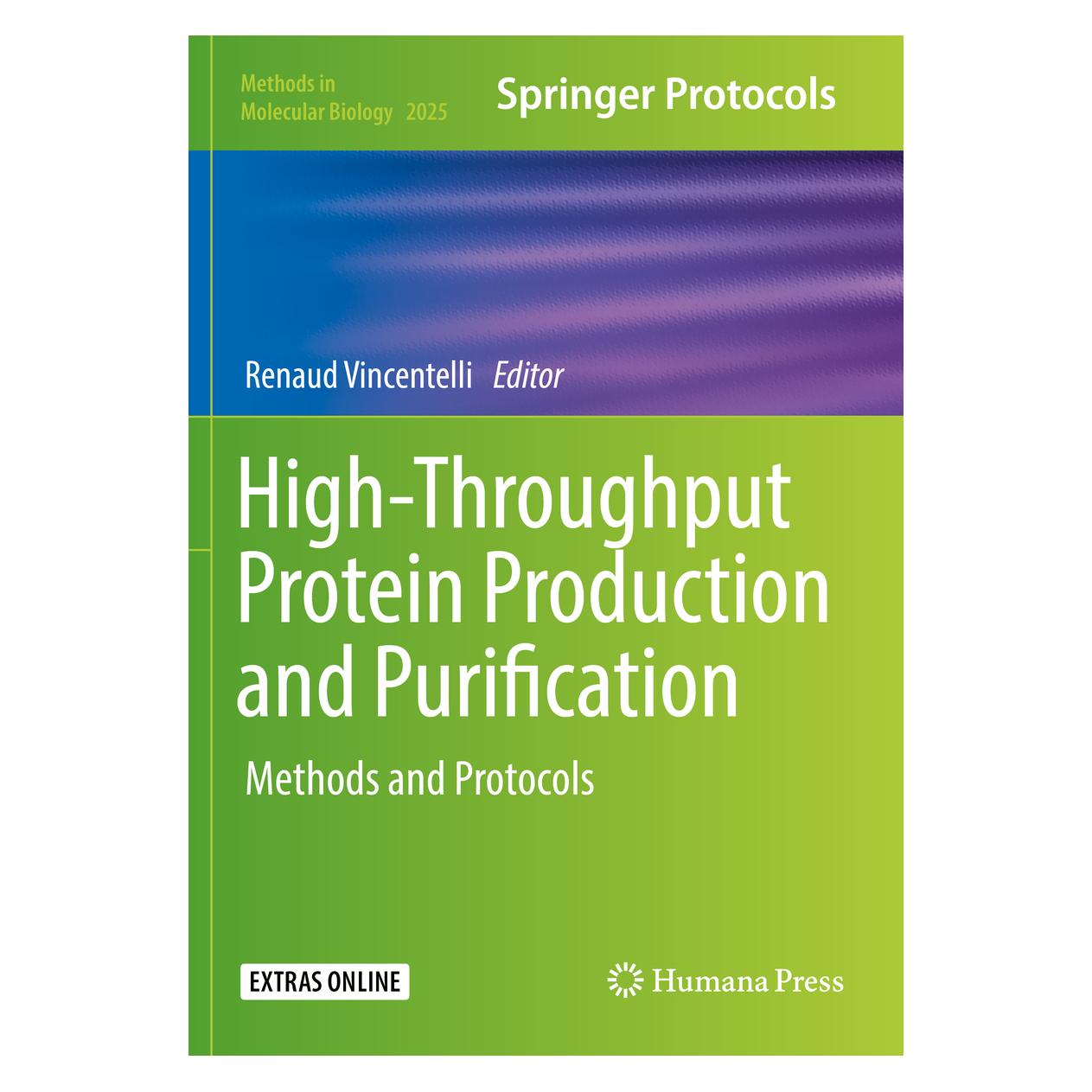 Springer High-Throughput Protein Production and Purification (Englisch, Softcover, Renaud Vincentelli) (56156198)
