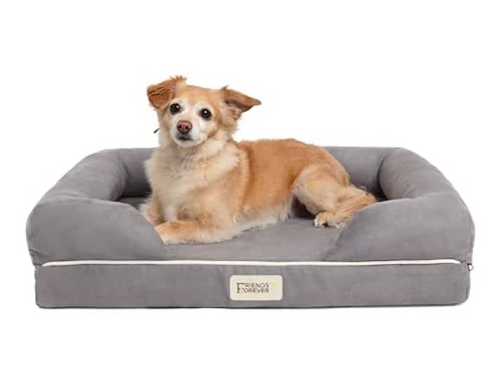 Friends Forever Kleines Hundebett, orthopädisches Hundesofa Memory Foam Matratze, beruhigendes Hundecouchbett, Wandrandkissen, wasserabweisendes Futter, waschbarer Bezug, rutschfeste Unterseite,