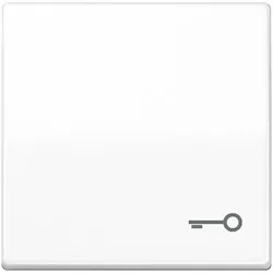 Jung Wippe,  Symbol Tür SPAS 591 T WW
