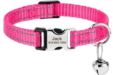 Uplifted Finds Safe Track Customized ID Module pink