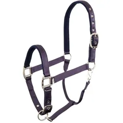 BR Equestrian Equipment, Halfter