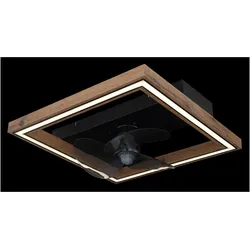 Globo Celinata, Ventilator, Schwarz