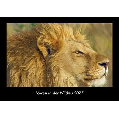 Löwen in der Wildnis 2027 Fotokalender DIN A3