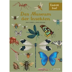 Das Museum der Insekten, Kinderbücher von Dave Goulson, Emily Carter, Birgit Franz