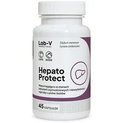 Lab-v Hepato Protect – Unterstützung der Leberfunktion für Hunde und Katzen, 45 Kapseln