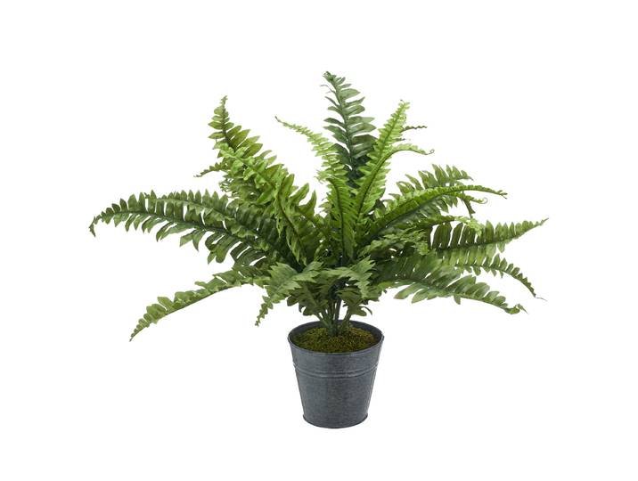 Kunstpflanze Bostonfarn Typ B 50cm