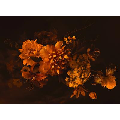 Fototapete LIVING WALLS "Designwalls Blossom Variety 2", orange (orange, schwarz), B:3,5m L:2,55m, Vlies, Tapeten, Vlies, Wand, Schräge, Decke
