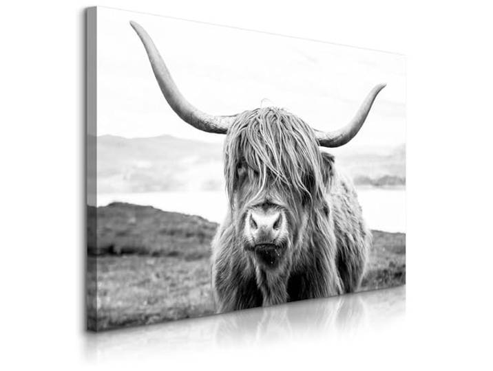Muralo Wandbilder Tiermotiv, Schottisches Hochlandrind - 120x80 cm