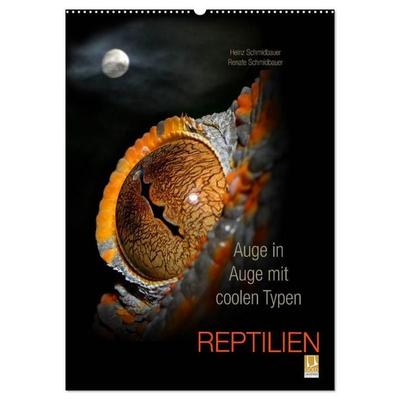 Auge in Auge mit coolen Typen - REPTILIEN (Wandkalender 2027 DIN A2 hoch), CALVENDO Monatskalender