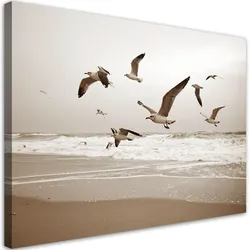 LEINWANDBILD Möwen Vögel Meer Strand Natur 100x70cm