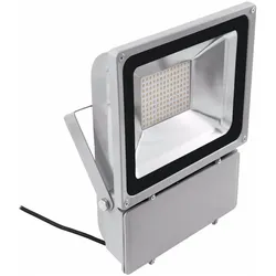 Eurolite, Fassadenbeleuchtung, LED IP FL-100 6400K (IP54)