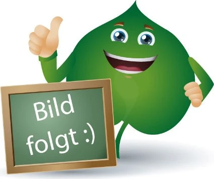 Naturafit Ingwer Pur Kapseln 25 St