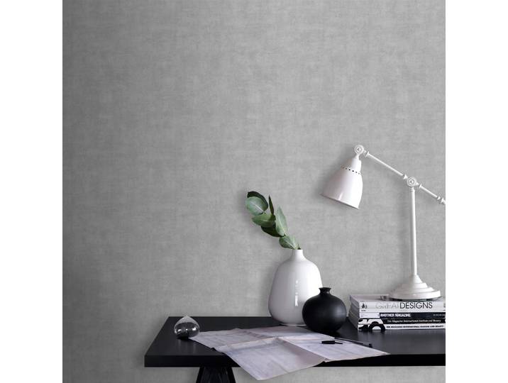Papier Peint Intissé Béton Crépi Grainé 1005 X 52cm Gris