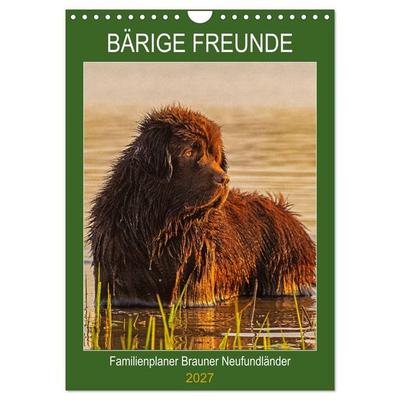 Bärige Freunde - Familienplaner Brauner Neufundländer (Wandkalender 2027 DIN A4 hoch), CALVENDO Monatskalender