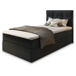 MASSENO Boxbett mit Bettkasten  ¦ schwarz ¦ Maße (cm): B: 100 H: 98