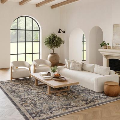 Nourison Nyle Vintage Persian Boho Area Rug