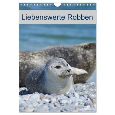 Liebenswerte Robben (Wandkalender 2027 DIN A4 hoch), CALVENDO Monatskalender