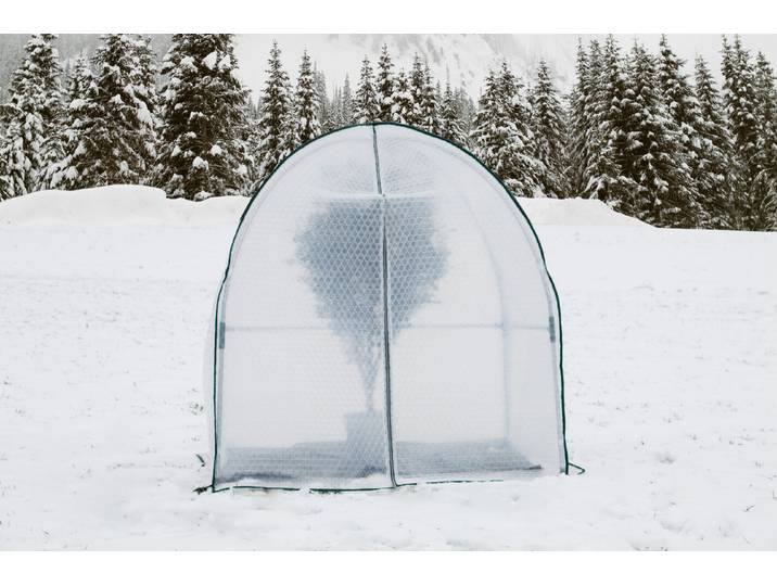 Colibri Winterschutz Iglu Kenai 180 × 180 × 200 cm