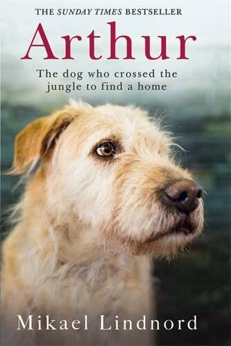 Mikael Lindnord - Arthur: The Dog Who Crossed the Jungle to Find a Home - Preis vom 09.10.2026 07:28:09 h